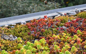 the cost of Clareview green roof installation