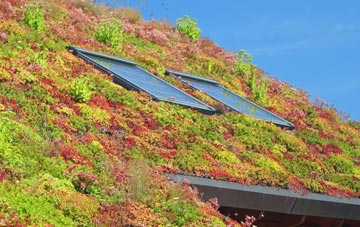 Clareview living roof systems
